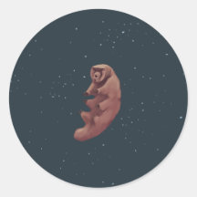 Tardigrade in de ruimte