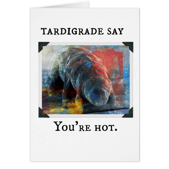 Tardigrade Say - je bent heet (Voorkant)