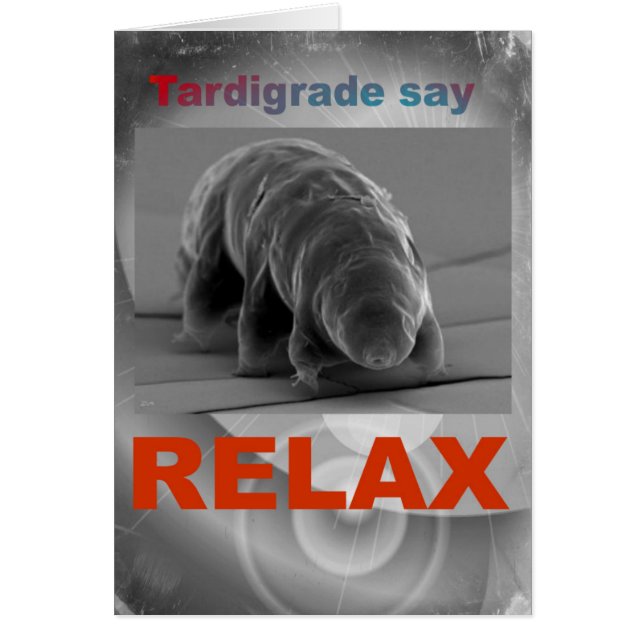 Tardigrade Say - Relax. (Devant)