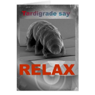 Tardigrade Zeg - Relax.