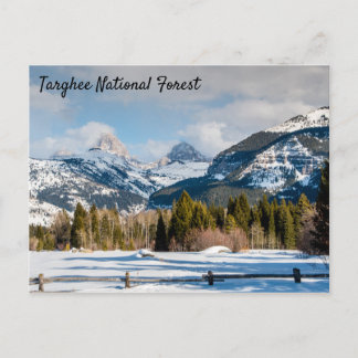 Targhee National Forest Teton uitzicht Briefkaart