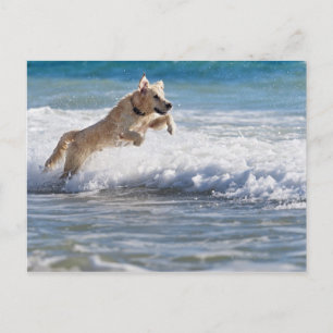 tarifa , cadiz , andalusië , spanje 2 briefkaart