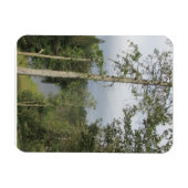 Tarn Hows Arbres Flexible Photo Magnet (Horizontal)