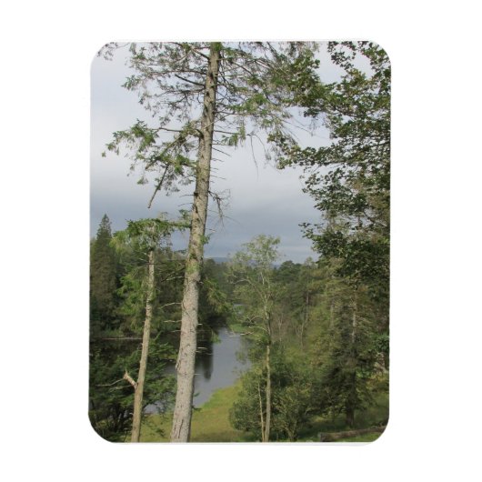 Tarn Hows Arbres Flexible Photo Magnet (Vertical)