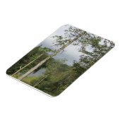 Tarn Hows Arbres Flexible Photo Magnet (Côté Gauche)