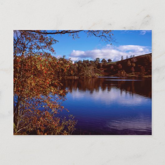 Tarn Hows bright Autumn day Lake District England Briefkaart (Voorkant)