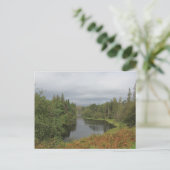 Tarn Hows - Carte postale Lake District (Debout devant)