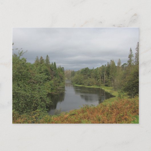 Tarn Hows - Carte postale Lake District (Devant)