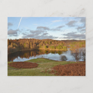 Tarn Hows - English Lake District Briefkaart