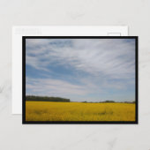 Tarnowskie Góry (Polen) Briefkaart (Voorkant / Achterkant)