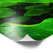 Taro-natuur Foto Afdruk (Hoek)