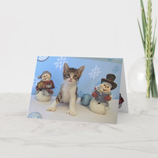 Taromina et les Snowmen - Carte de Noël Chat (Devant)