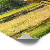 Taronga Western Plains Zoo Dubbo - Giraffes Poster (Hoek)