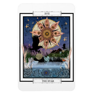 Tarot Card "The Star" Magneet