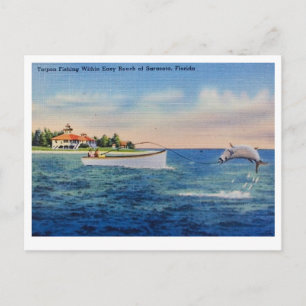 Tarpoenvissen in Florida Briefkaart