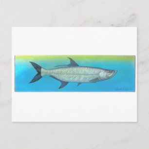 Tarpon Briefkaart