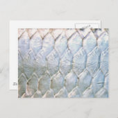 Tarpon door PatternWear© Briefkaart (Voorkant / Achterkant)