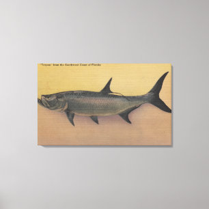 Tarpon Fish uit SW Coast of Florida Canvas Afdruk