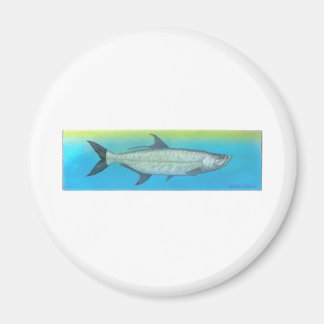 Tarpon Magneet