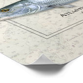 Tarpon, Permit, Bonefish Trio Poster (Hoek)