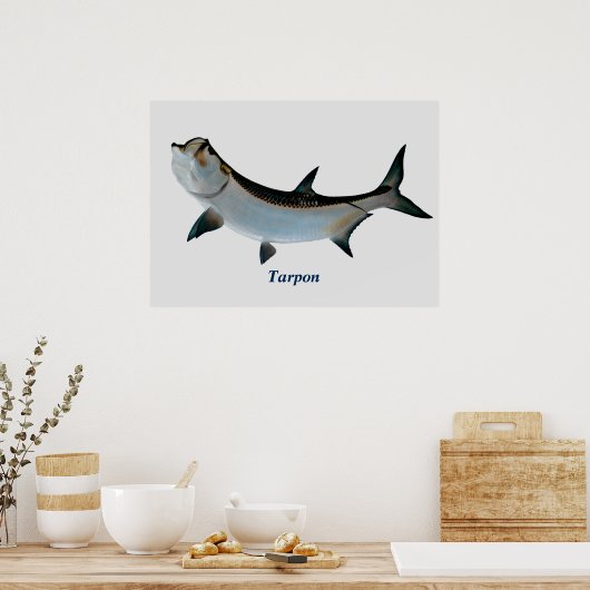 Tarpon Poster (Keuken)