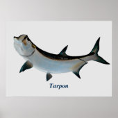 Tarpon Poster (Voorkant)