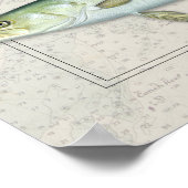 Tarpon, rode drum, Zee forel Trio Poster (Hoek)