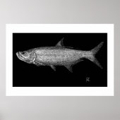 Tarpon Scratch art Poster (Voorkant)