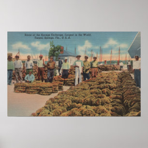 Tarpon Springs, FL - Scene of Sponge Exchange Poster
