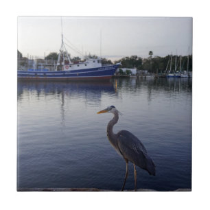 Tarpon Springs Tegeltje