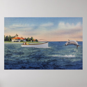 Tarpon Vissen Poster