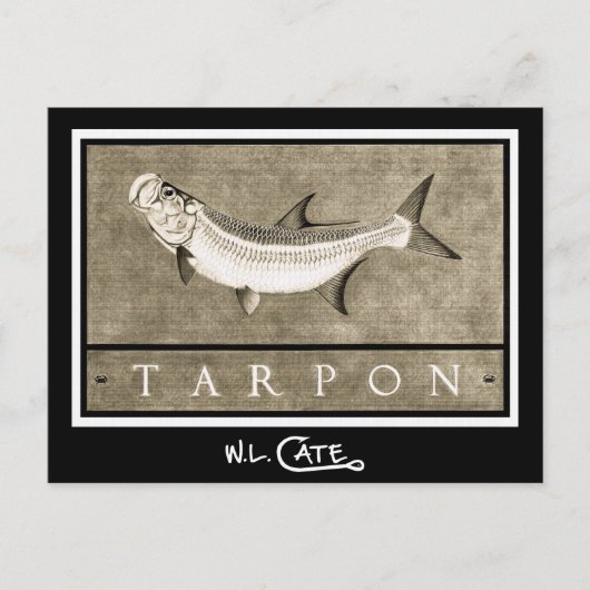 Tarpon  zwarte en witte Briefkaarten (Voorkant)