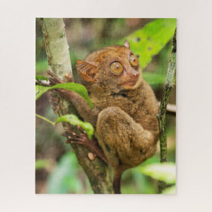 Tarsier-aap in het wild legpuzzel