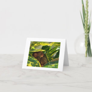 Tarsier in Bohol Note Card Kaart