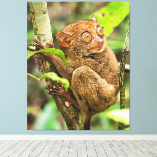 Tarsier Monkey Wildlife Leuk Dier Canvas Afdruk (Insitu (Houten vloer))