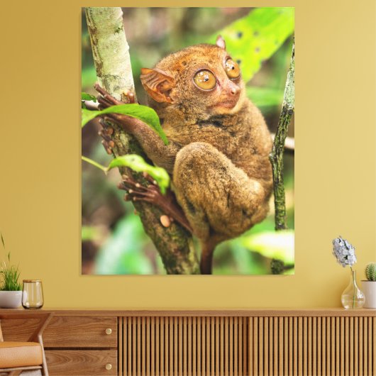 Tarsier Monkey Wildlife Leuk Dier Canvas Afdruk (Insitu (Woonkamer))