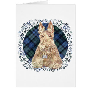 Tartan Black Watch