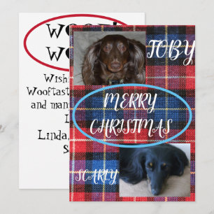 Tartan Prettig Kerstmis Huisdier Duo Blauw Schotla Feestdagenkaart