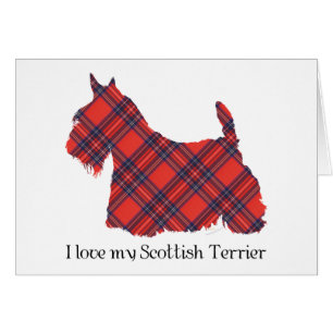 Tartan Stewart du Terrier Écossais