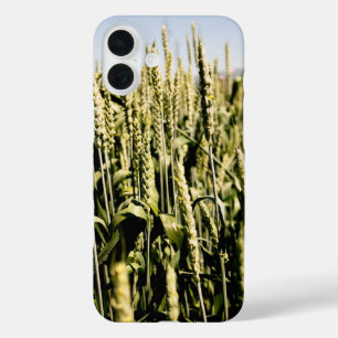 tarwe iPhone 16 plus hoesje