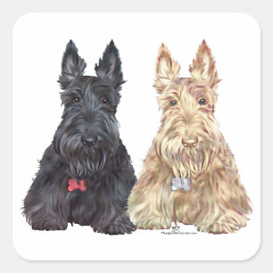 Tarwe- en zwarte Scottie-honden Vierkante Sticker