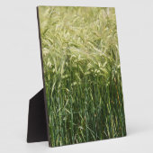 Tarwe - mooi! fotoplaat (Zijkant)
