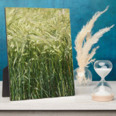 Tarwe - mooi! fotoplaat (Zijkant)