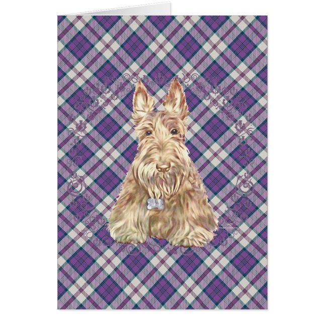 Tarwe Scottie Tartan (Voorkant)