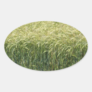 Tarwe - Tasty! Ovale Sticker