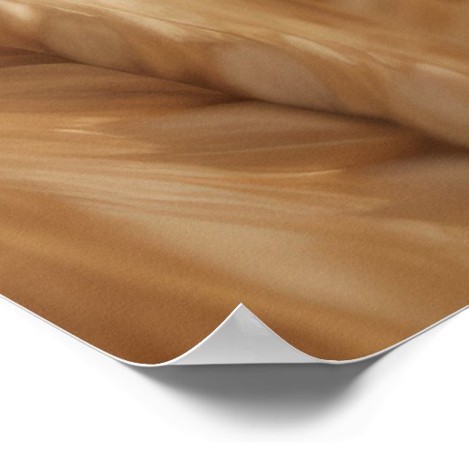 Tarwe Zonsondergang Tranquil Vreedzame Natuur Poster (Hoek)