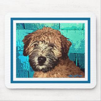 TARWEBOER: NATTE PUPPY MUISMAT