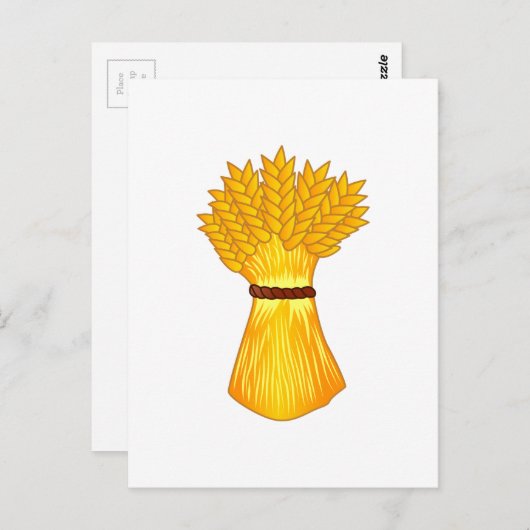 Tarwebundel Briefkaart (Voorkant / Achterkant)