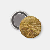 Tarwekorrels in het veld. Het is oogsttijd! Magneet (Voorkant / Achterkant)