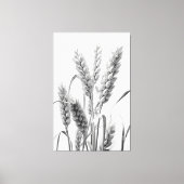Tarweoogst: B&W rustiek portret Canvas Afdruk (Voorkant)